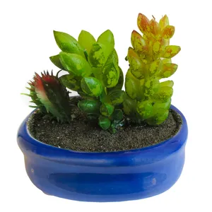 گلدان به همراه کاکتوس مصنوعی مدل  Minicactus کد M2