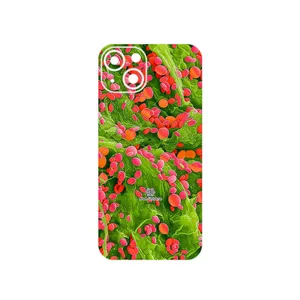 MAHOOT Atom Universe 3 Cover Sticker for Apple iPhone 13
