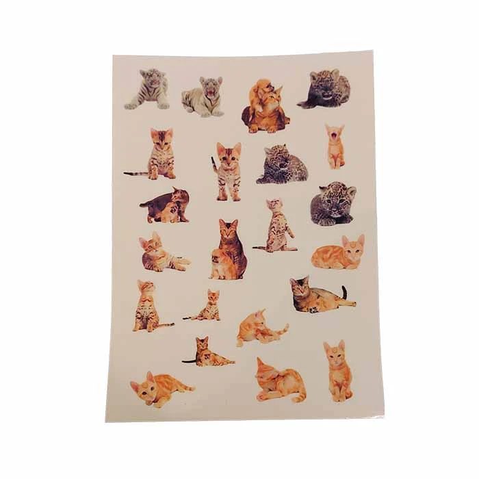 برچسب راحیل سها مدل گربه واقعی کد RC01