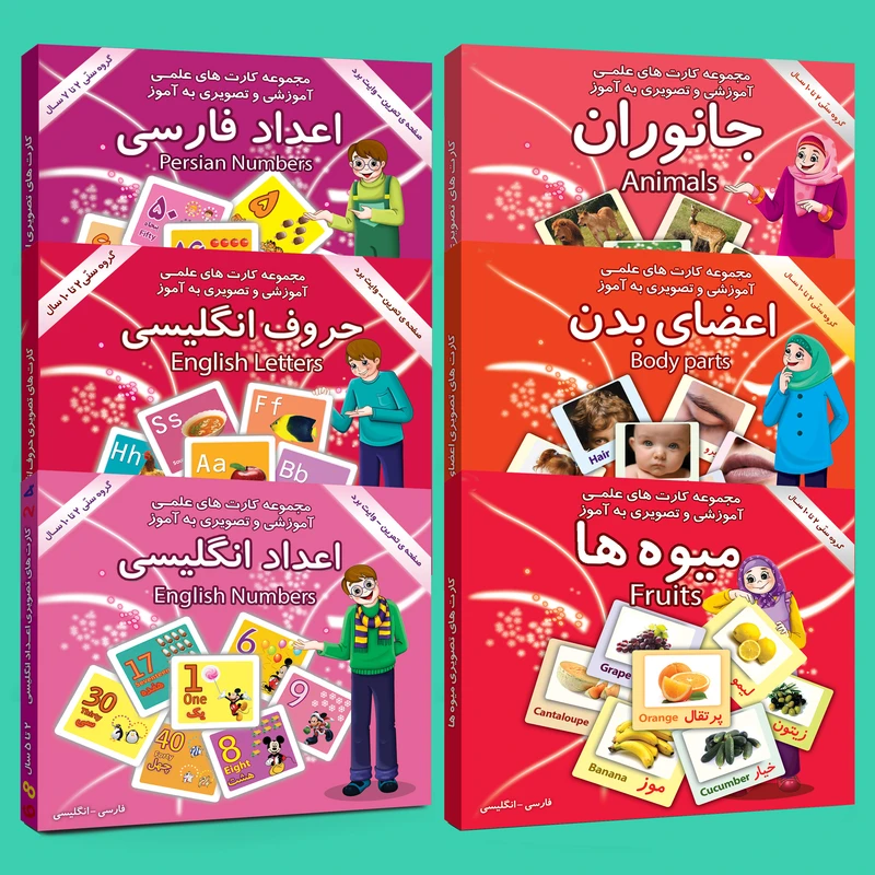 فلش کارت های علمی آموزشی و تصویری دوزبانه 2 تا 10 سال انتشارات امین آذر مجموعه 6 عددی