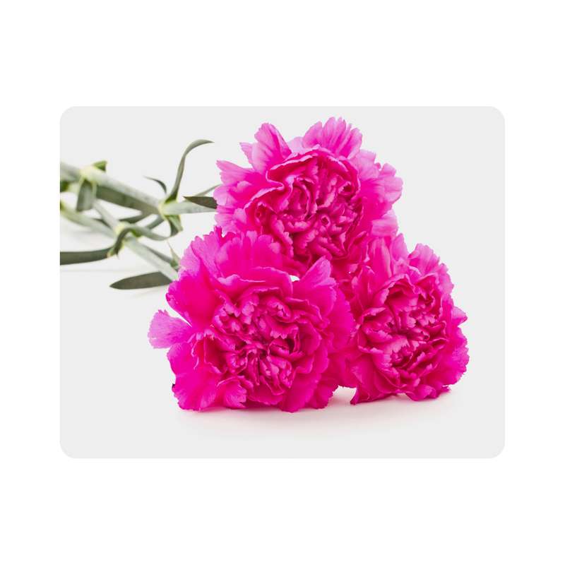 ماوس پد اطلس آبی طرح گل مدل T6771