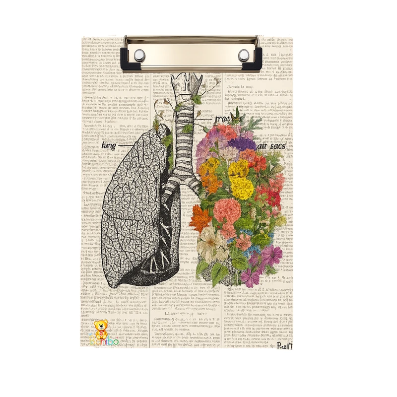 تخته شاسی بانیبو طرح پزشکی کد 2776 سایز a4