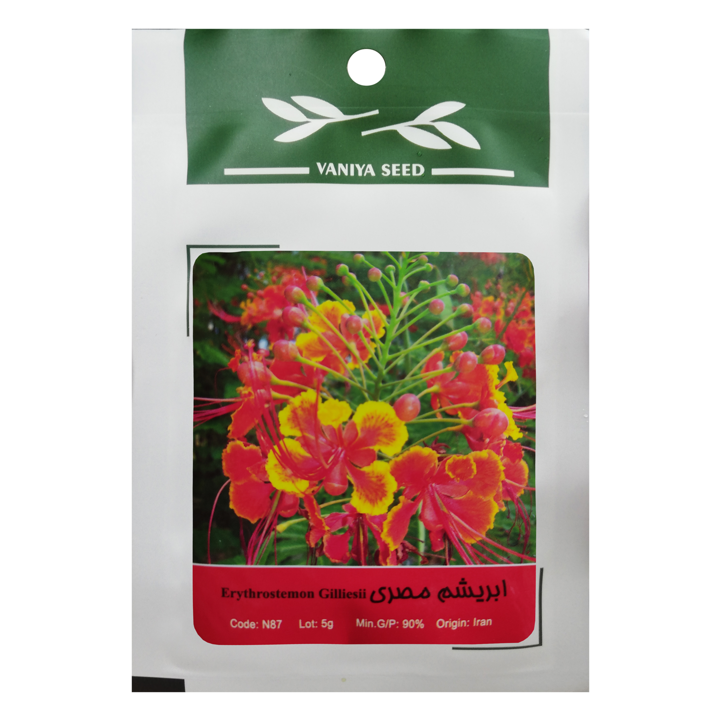 بذر بنسای ابریشم مصری وانیا سید مدل N87