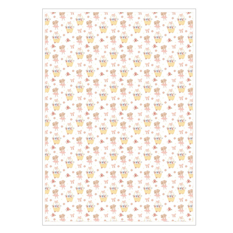 کاغذ A4 مدل طرح دار موش کوچولو مجموعه 5 عددی