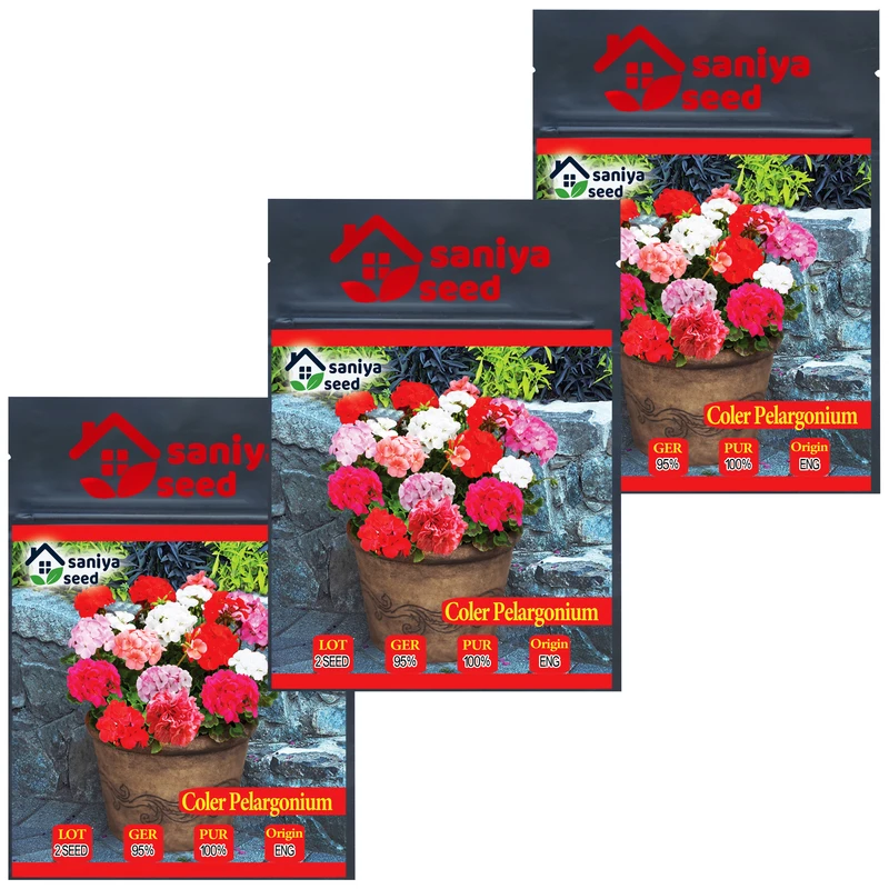 بذر گل شمعدانی الوان سانیا سید مدل S2 مجموعه 3 عددی