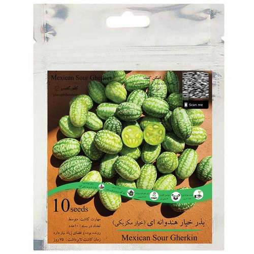 بذر خیار هندوانه ای خیار مکزیکی گلس گاردن مدل GL10