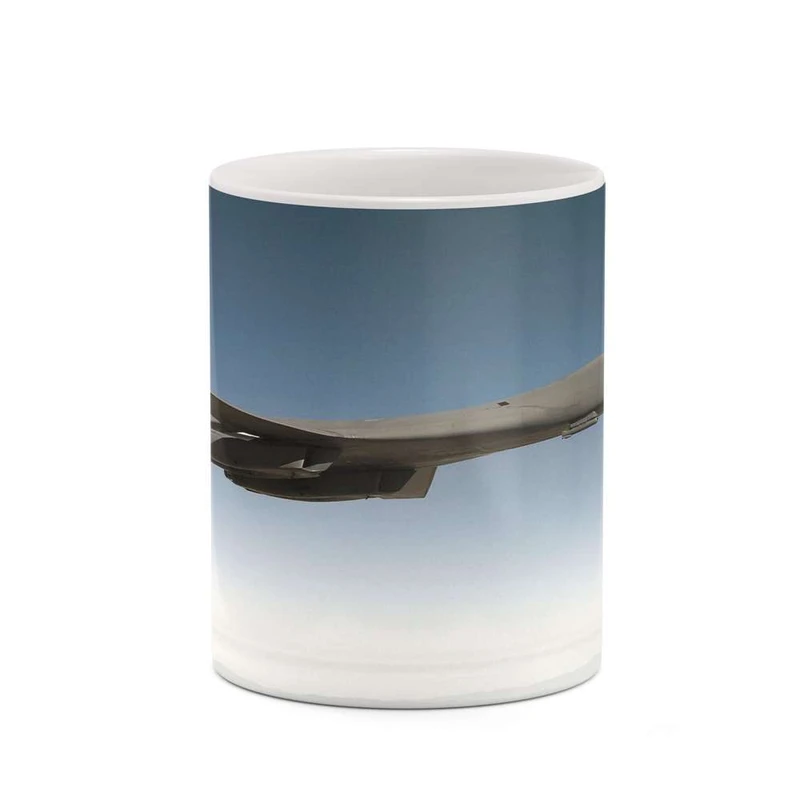 ماگ کاکتی مدل هواپیمای جنگنده کد mgh20368