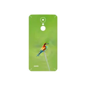 MAHOOT European bee-eater Cover Sticker for LG K8 2017
