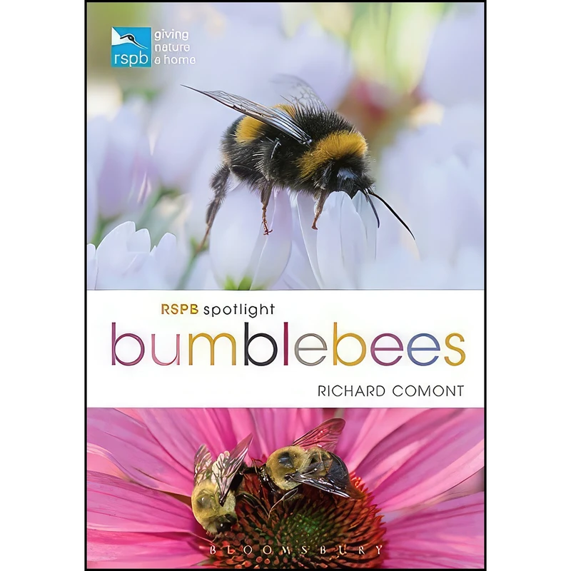 کتاب RSPB Spotlight Bumblebees اثر Richard F. Comont انتشارات Bloomsbury Natural History