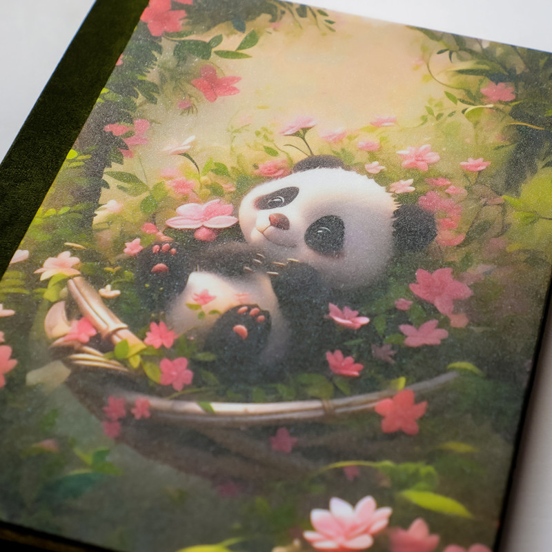 آلبوم عکس کودک مدل شومیز