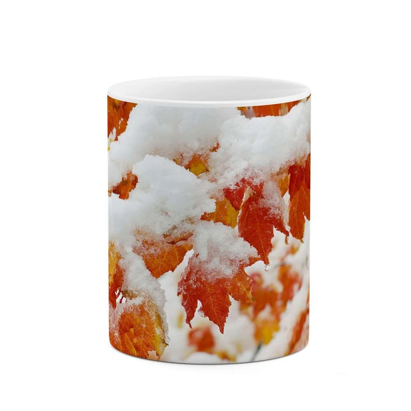 ماگ کاکتی مدل برف کد mgh12067