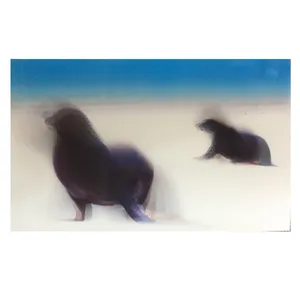 کارت پستال مدل فوک