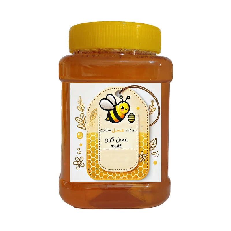 عسل گون تغذیه دهکده عسل سلامت - 1 کیلوگرم