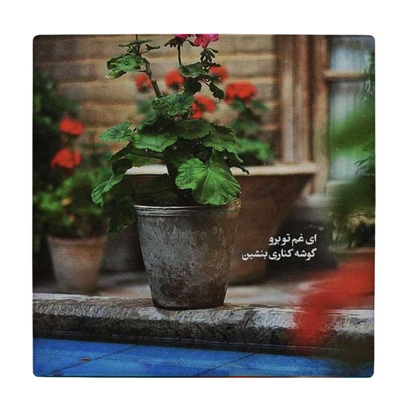 زیر لیوانی طرح حوض و گلدان شمعدانی کد    4046479_2550