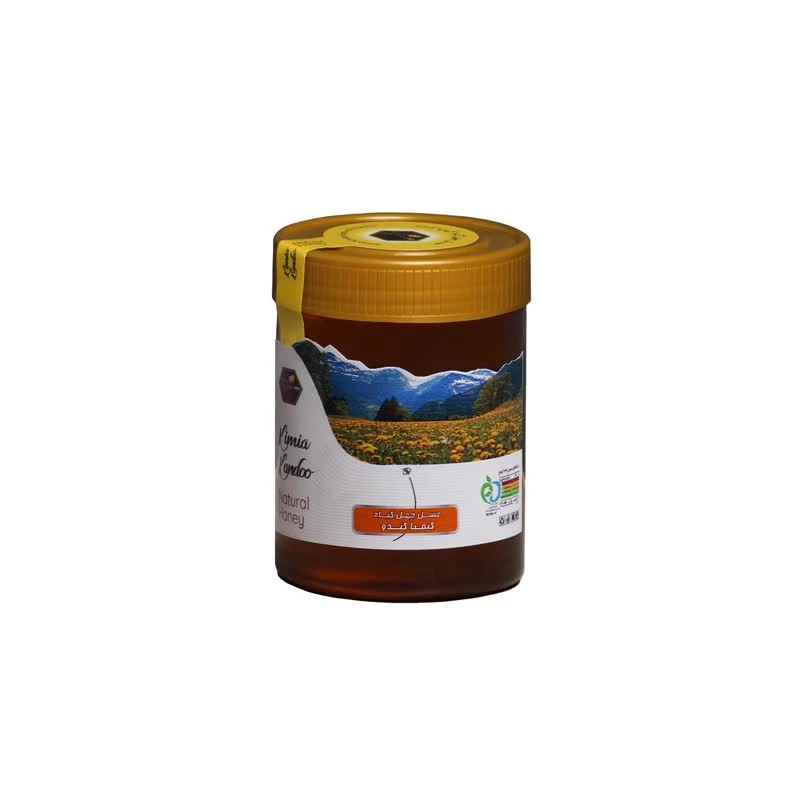 عسل چهل گیاه کیمیا کندو - 500 گرم