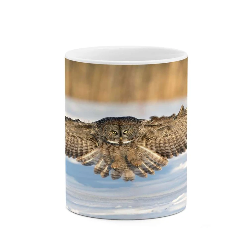 ماگ کاکتی مدل جغد کد mgh14656