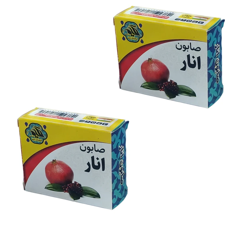 صابون شستشو گیاهستان حکیم مدل انار وزن 70 گرم بسته 2 عددی