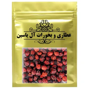 دمنوش میوه نسترن - 1000 گرم