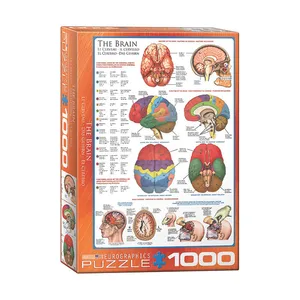 پازل 1000 تکه یوروگرافیکس پازلز مدل The Brain كد 60000256