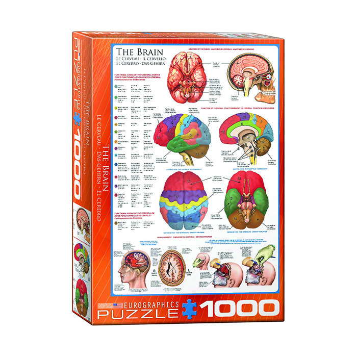 پازل 1000 تکه یوروگرافیکس پازلز مدل The Brain كد 60000256