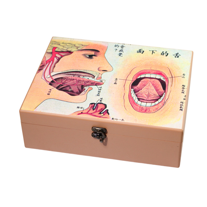 جعبه کمک‌های اولیه مدل پزشکی 