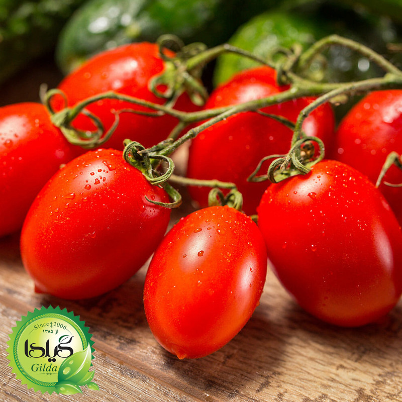 بذر گوجه کشیده روما گیلدا کد 553