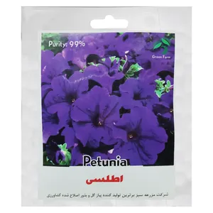 بذر اطلسی بنفش گرین فارم کد GR 14