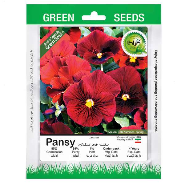 بذر بنفشه قرمز شکلاتی گیلدا کد 849