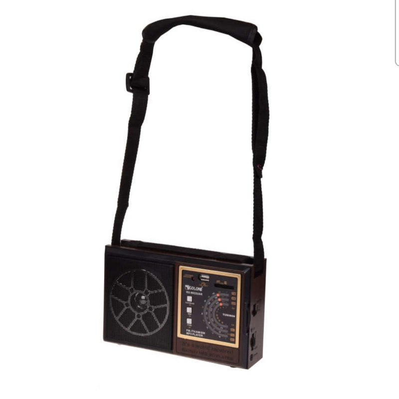 رادیو گولون مدل VEQS-1616