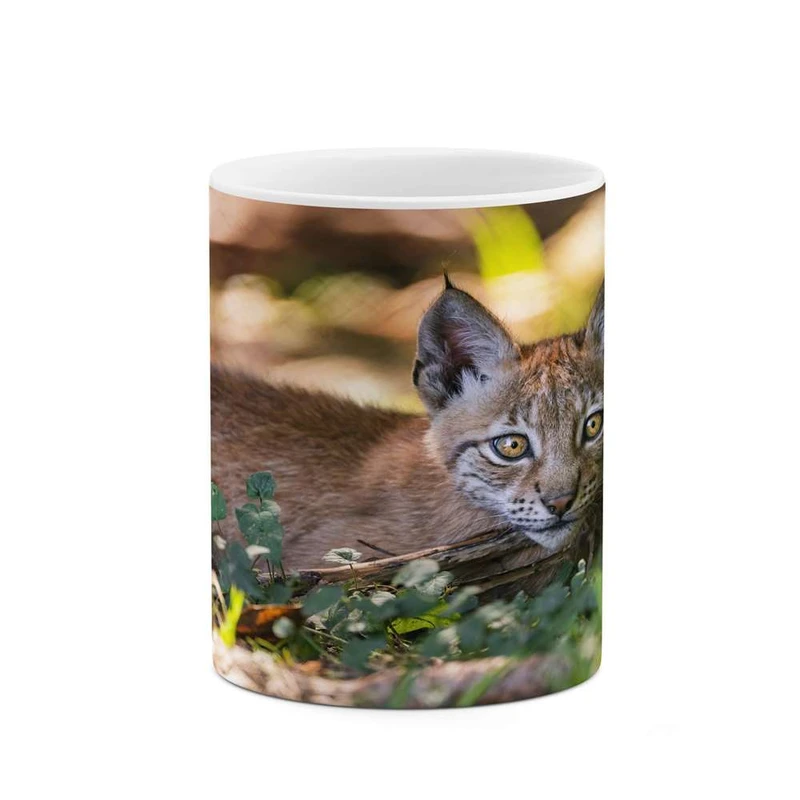 ماگ کاکتی مدل گربه کد mgh16644