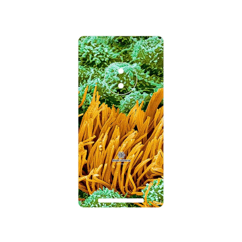 برچسب پوششی ماهوت مدل Atom Universe 6 مناسب برای گوشی موبایل نوکیا Lumia 830