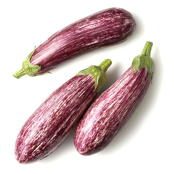 بذر بادمجان دو رنگ آرزومان کد 11574