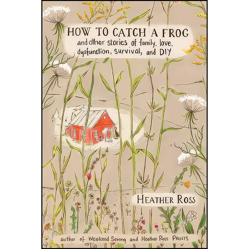 کتاب How to Catch a Frog اثر Heather Ross انتشارات Stewart, Tabori and Chang