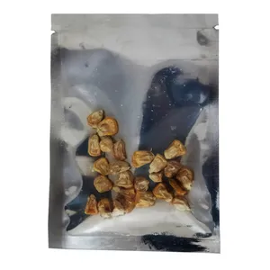 بذر ذرت شیرین کد SC002-02