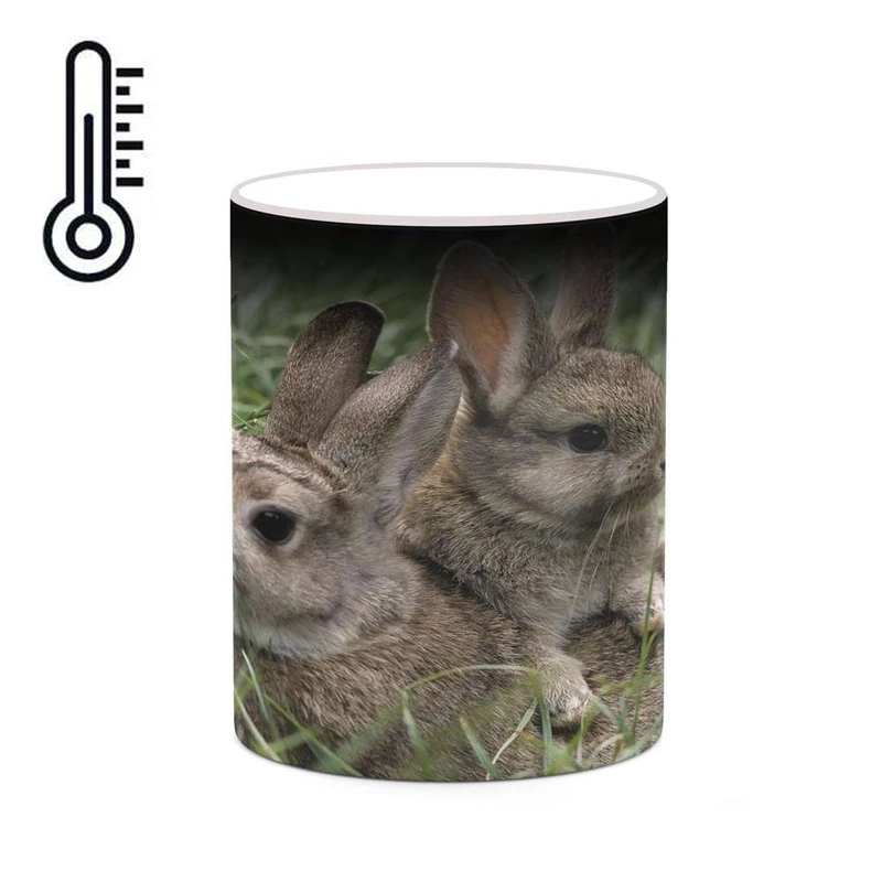 ماگ حرارتی کاکتی مدل خرگوش کد mgh19238