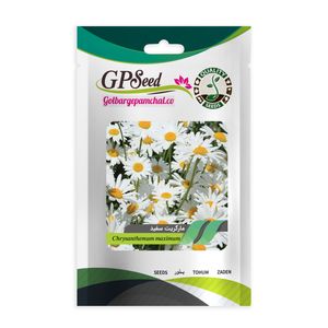 بذر گل مارگریت پابلند سفید گلبرگ پامچال کد GPF-079