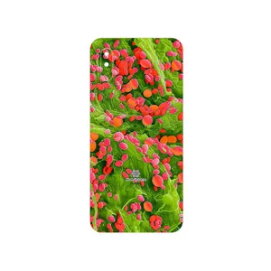 MAHOOT Atom Universe 3 Cover Sticker for Xiaomi Redmi 9i Sport