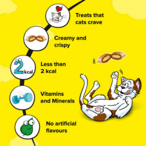 غذای تشویقی گربه دریمیز مدل اردک وزن 60 گرم