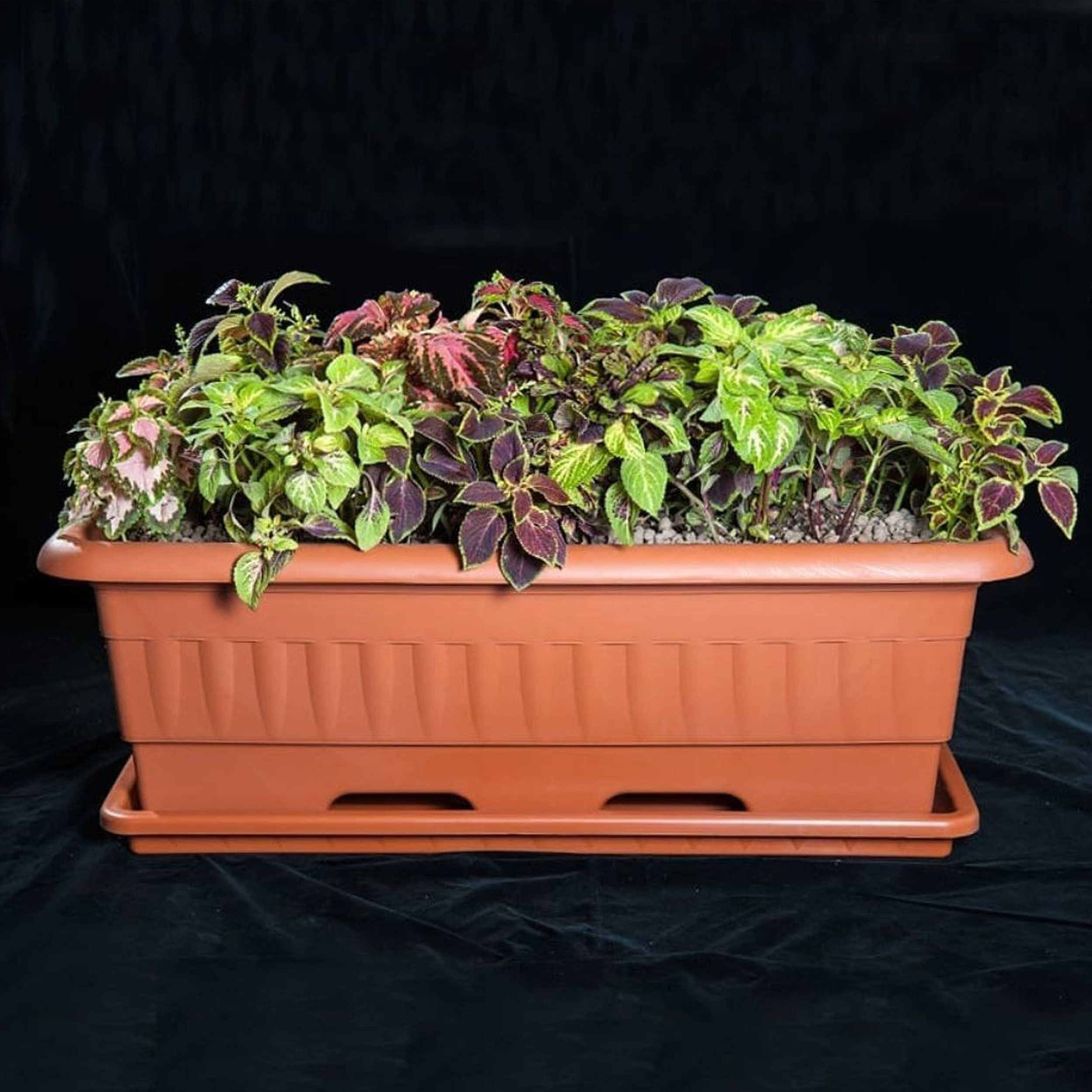 گلدان گلپونه مدل پلاستیکی مستطیلی کد 217