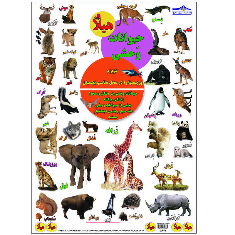 برچسب هیلا مدل آموزش حیوانات وحشی بسته 5 عددی