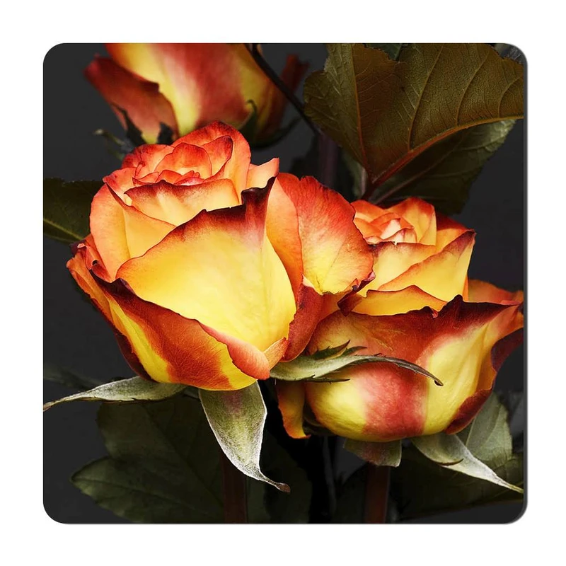 مگنت یخچالی گالری باجو طرح گل کد flower 39