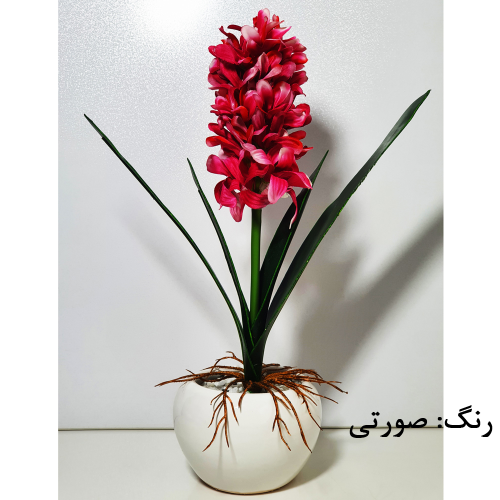 عکس شماره 3