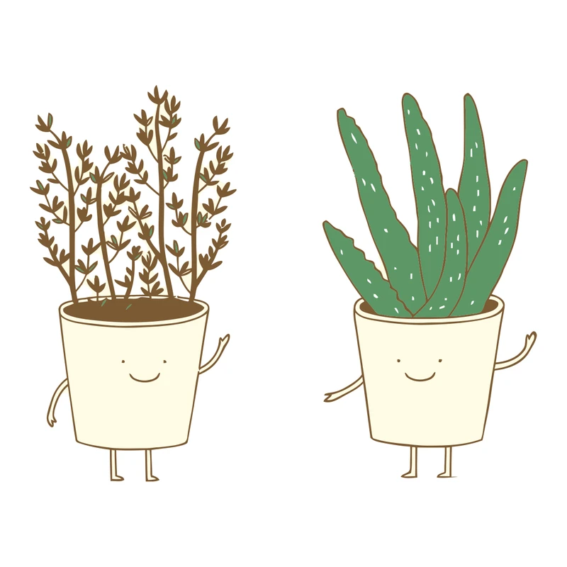 برچسب لپ تاپ پویا مارکت طرح گل کد 2724 مجموعه 2 عددی