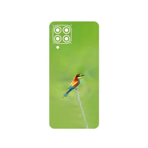MAHOOT European bee-eater Cover Sticker for Samsung M53