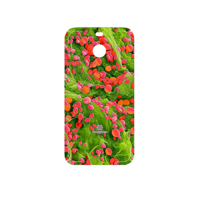 برچسب پوششی ماهوت مدل Atom Universe 3 مناسب برای گوشی موبایل اچ تی سی 10 Evo