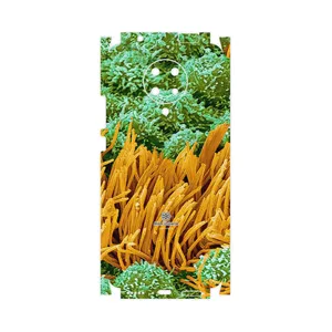 MAHOOT Atom Universe 6-FullSkin Cover Sticker for Xiaomi Poco F2 Pro