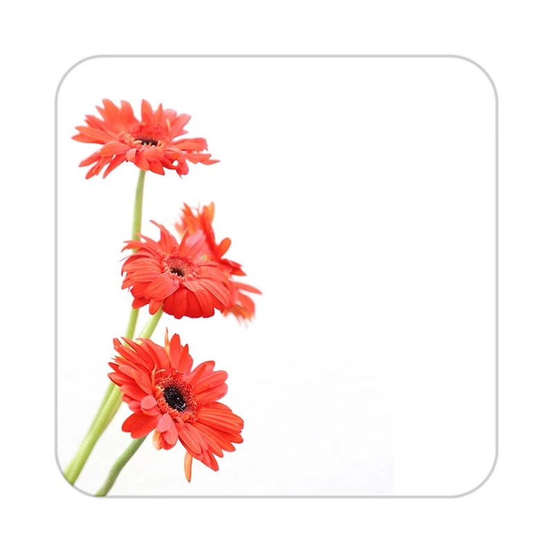 زیر لیوانی کاکتی طرح گل مدل mp18587