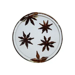 زیر لیوانی رزینی طرح میخک ستاره ای