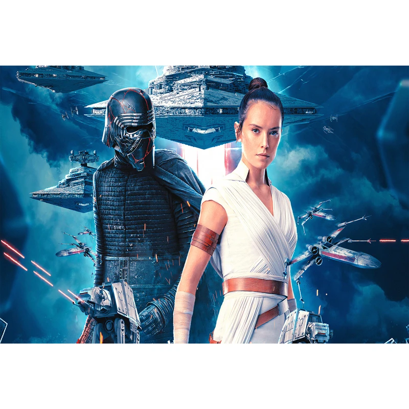 تابلو شاسی مدل بازیگر دیزی ریدلی در جنگ ستارگان T5989