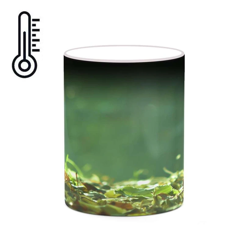 ماگ حرارتی کاکتی مدل پاییز کد mgh19323